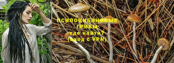 метамфетамин Козловка